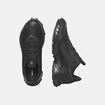 Picture of SALOMON ALPHACROSS 5 GTX W